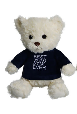 Father's Day Medium Dad Teddy