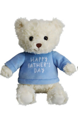 Happy Father's Day Medium Teddy