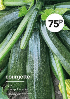 Grow Your Own Courgette Vegetable Seeds thumbnail 2