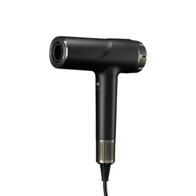 Brushless Hair Dryer