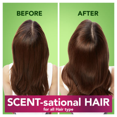 DAILY DETOX SHINE Conditioner 275ml. For Dull Hair thumbnail 4