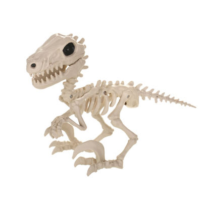 Mini Animal Skeletons (Style May Vary)