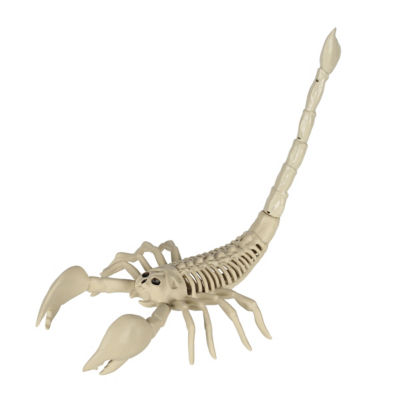 Mini Animal Skeletons (Style May Vary) thumbnail 3