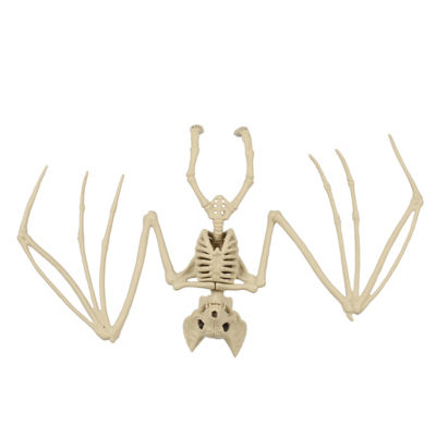 Mini Animal Skeletons (Style May Vary) thumbnail 4