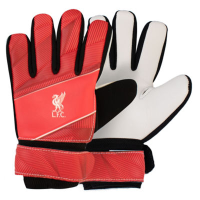 Goalie Gloves