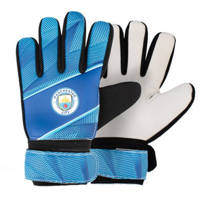 Goalie Gloves