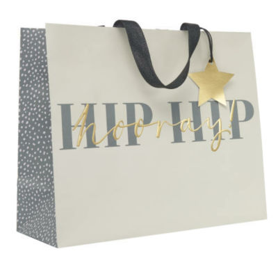 Beige Extra Large Premium Gift Bag