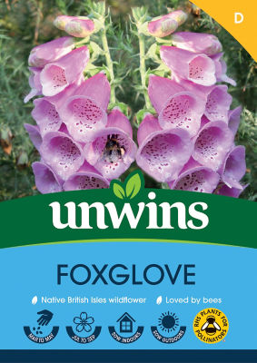 Foxglove