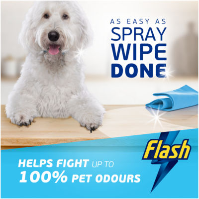 Spray Wipe Done For Pet Lovers Cleaning Spray 800ml thumbnail 3