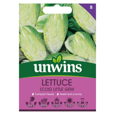 Little Gem Lettuce