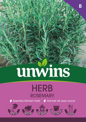 Herb Rosemary