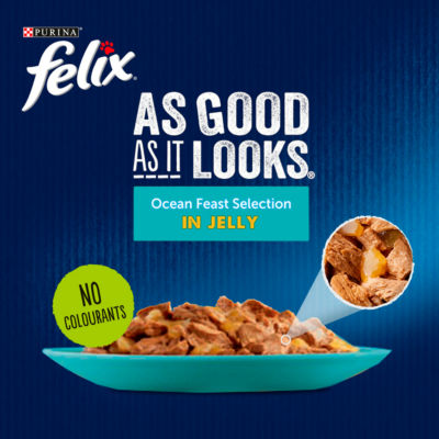 As Good As it Looks Ocean Feasts Wet Cat Food 40x85g thumbnail 4