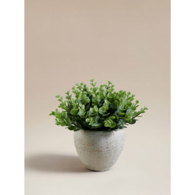 Green Artificial Eucalyptus In Cement Pot thumbnail 2