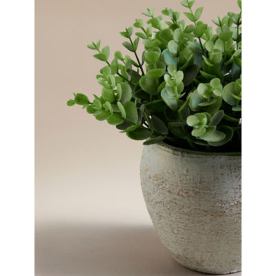 Green Artificial Eucalyptus In Cement Pot thumbnail 3