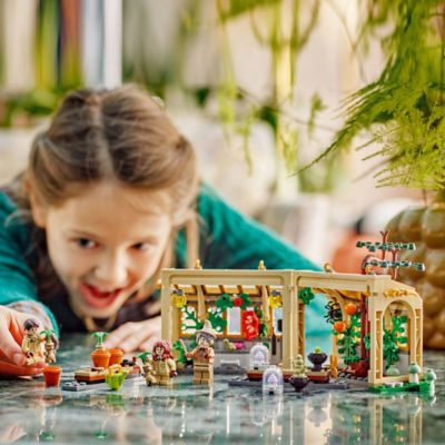 Harry Potter Hogwarts Castle: Herbology Class (76445) thumbnail 4