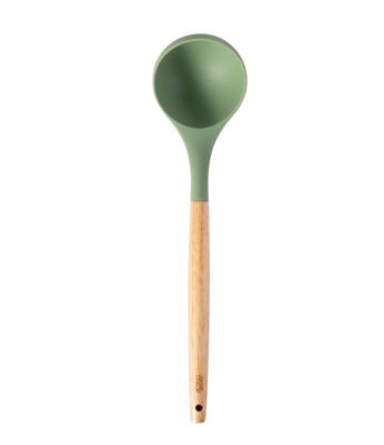 Ladle