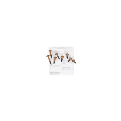 Musical Christmas Crackers - Set of 8 thumbnail 5