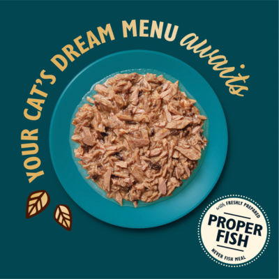 Lily’s Kitchen Shredded Fillets in Broth Chicken for Adult Cats 70g thumbnail 4