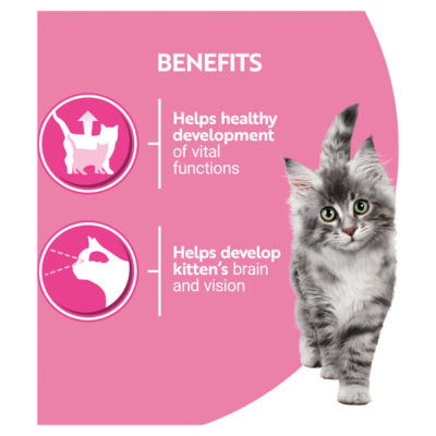 PURINA ONE Kitten Mini Filets in Gravy with Salmon and Carrots, with Chicken and Carrots pouch 85g thumbnail 4