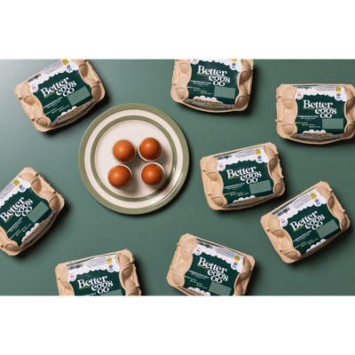 6 Large Rich Yolk Free Range Eggs thumbnail 4