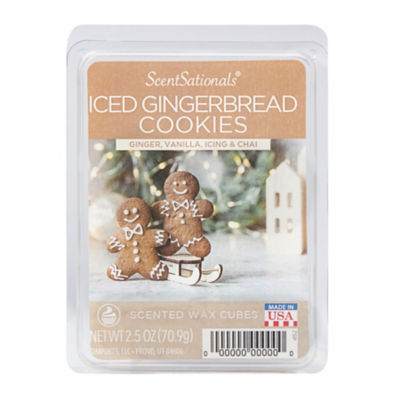 Iced Gingerbread Cookies Wax Melts