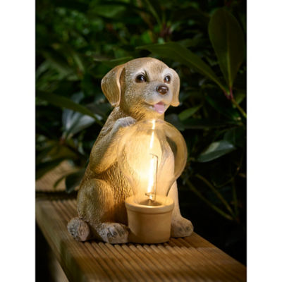Brown Dog Solar Light