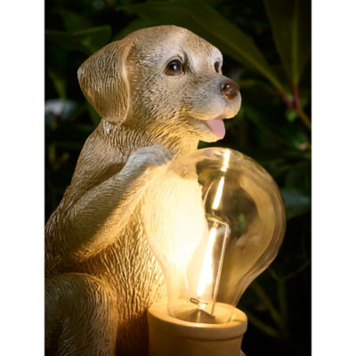Brown Dog Solar Light thumbnail 3