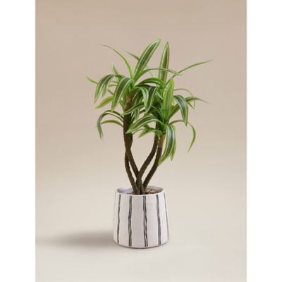 Artificial Variegated Dracaena in Striped & Speckled Pot