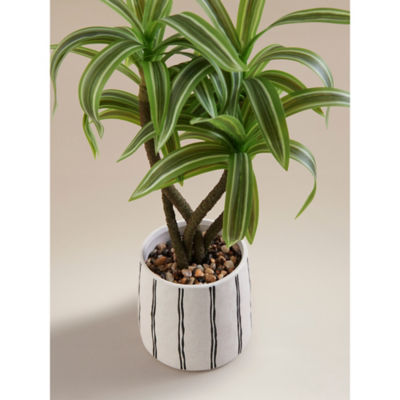 Artificial Variegated Dracaena in Striped & Speckled Pot thumbnail 3