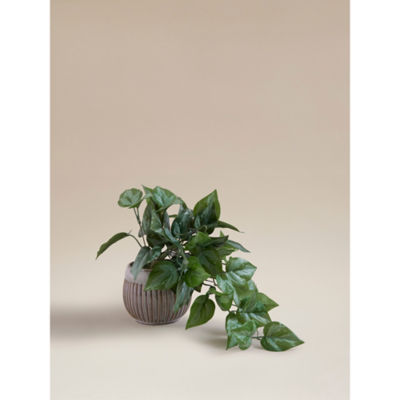 Green Artificial Trailing Leaf In Ceramic Pot