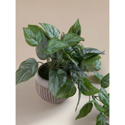 Green Artificial Trailing Leaf In Ceramic Pot thumbnail 3