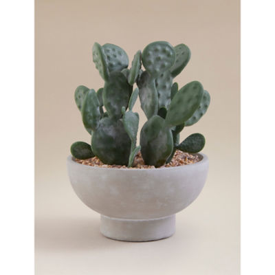 Artificial Cactus In Grey Cement Bowl thumbnail 2