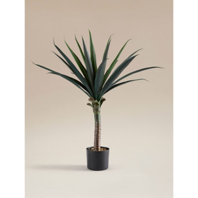 Topiary Yucca Tree