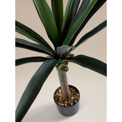 Topiary Yucca Tree thumbnail 3