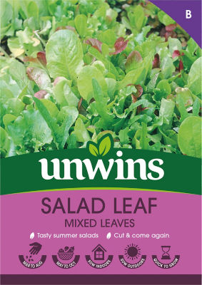 Salad Leaf Mixed Leaves thumbnail 2