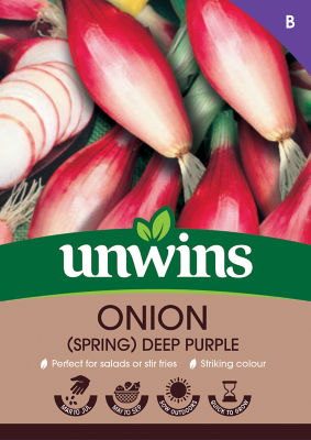 Onion Spring Deep Purple Vegetable