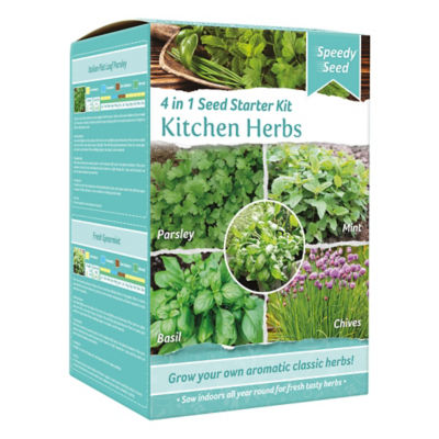 4 In 1 Herb Starter Box Set thumbnail 2