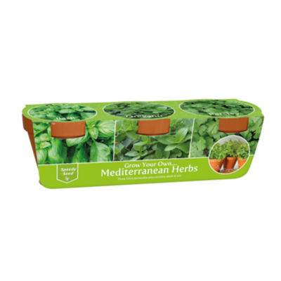 Herb Set In Terracotta Pots thumbnail 2