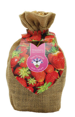 Strawberry Jute Bag Starter Set