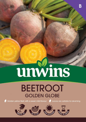 Beetroot Golden Globe