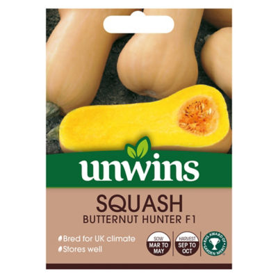 Butternut Squash Hunter F1 thumbnail 2