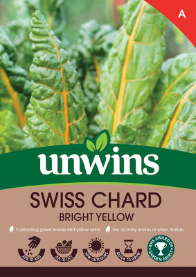 Swiss Chard Bright Yellow