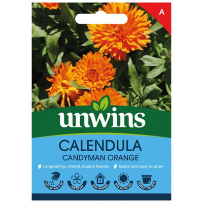 Calendula Candyman Orange thumbnail 2