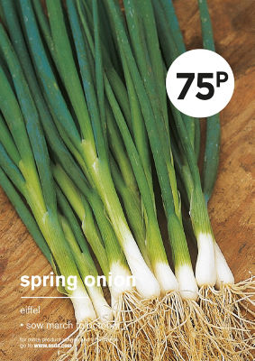 ASDA Grow Your Own Spring Onion Vegetable Seeds