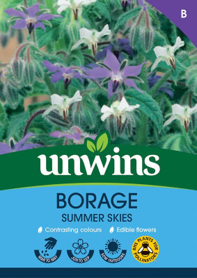 Borage Summer Skies