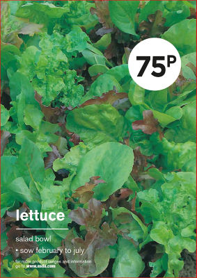 Gyo Lettuce thumbnail 2