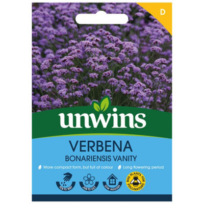 Verbena Bonariensis Vanity thumbnail 2