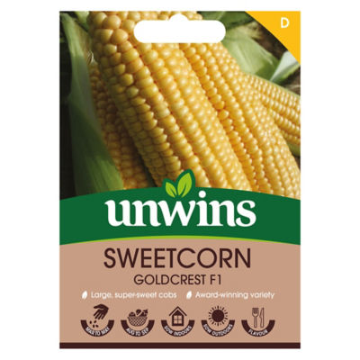 Sweetcorn Goldcrest F1 thumbnail 2