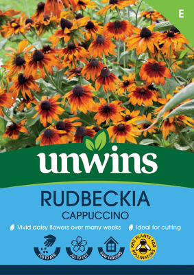 Rudbeckia Cappuccino