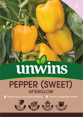 Pepper (Sweet) Afterglow